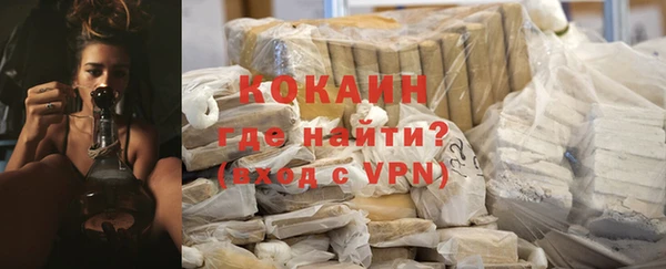 индика Переславль-Залесский