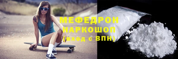 индика Переславль-Залесский