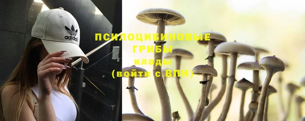 амф Пересвет