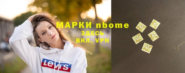 индика Переславль-Залесский
