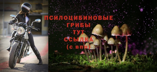 амф Пересвет
