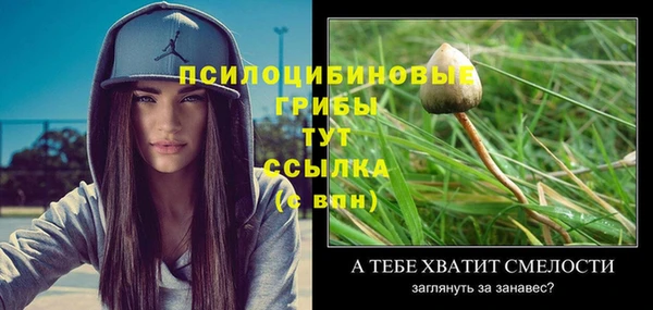 амф Пересвет