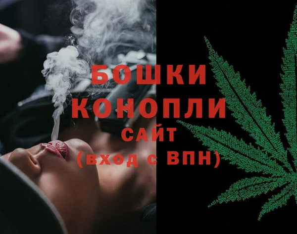 крисы Пестово