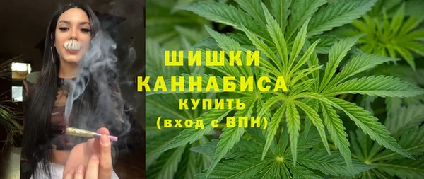 индика Переславль-Залесский