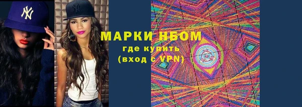 индика Переславль-Залесский