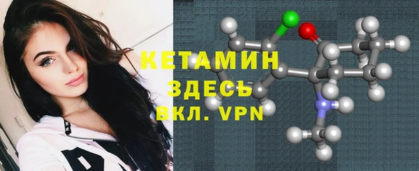 индика Переславль-Залесский