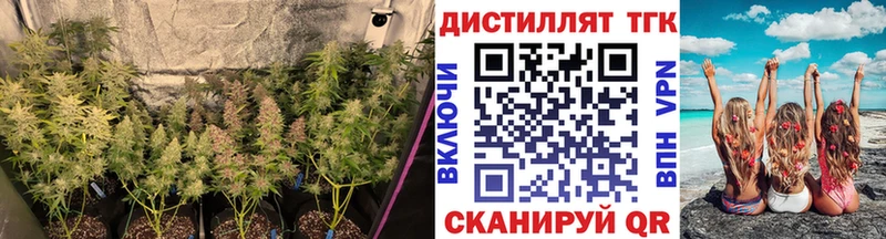 Дистиллят ТГК жижа хочу наркоту Шарыпово